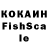 А ПВП СК КРИС Flame Host