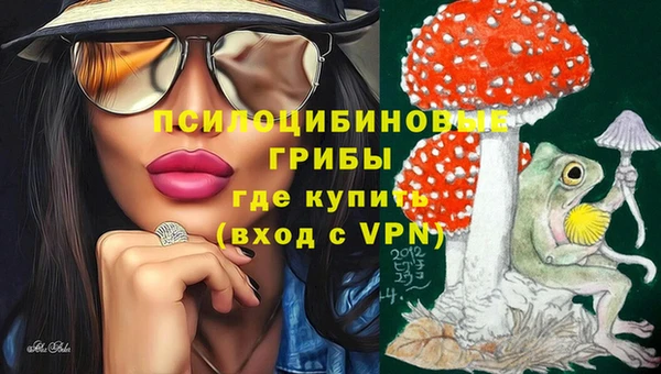 прущий лед Белокуриха