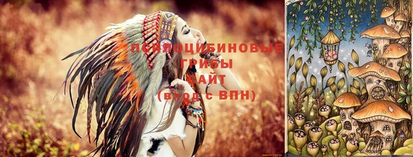прущий лед Белокуриха