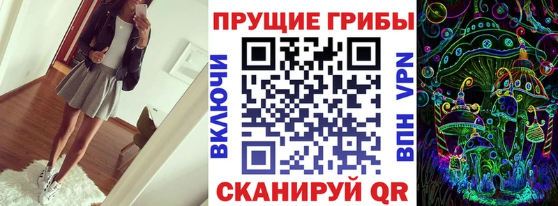 дарнет шоп  Великий Новгород  Галлюциногенные грибы прущие грибы 